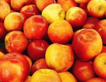 Apple - Fuji
