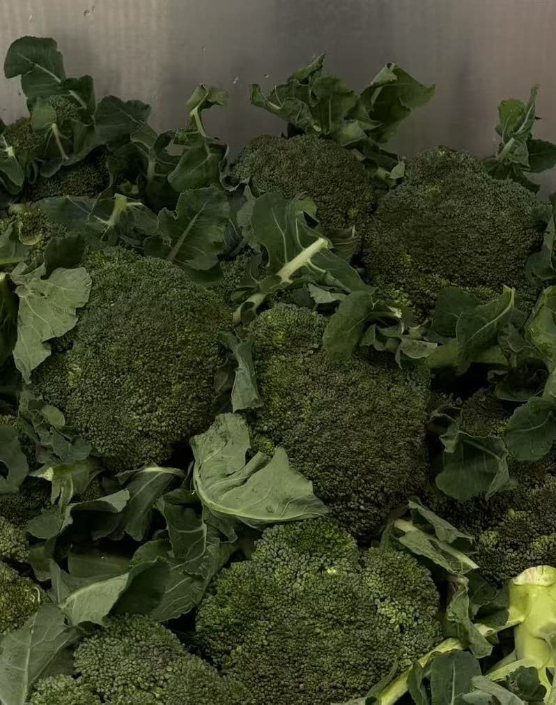 Broccoli