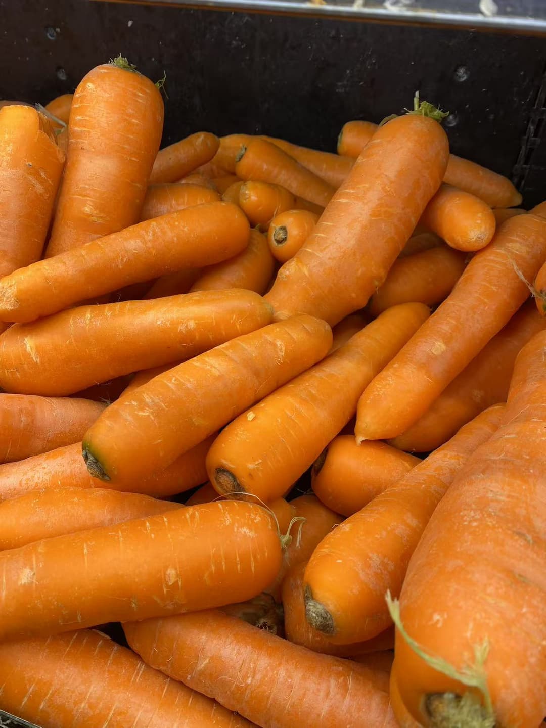 Carrots