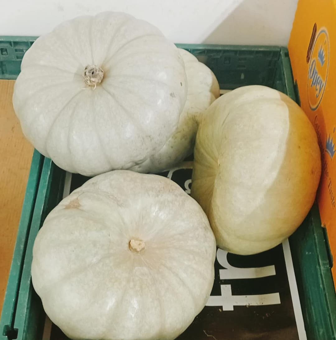 Crown Pumpkin