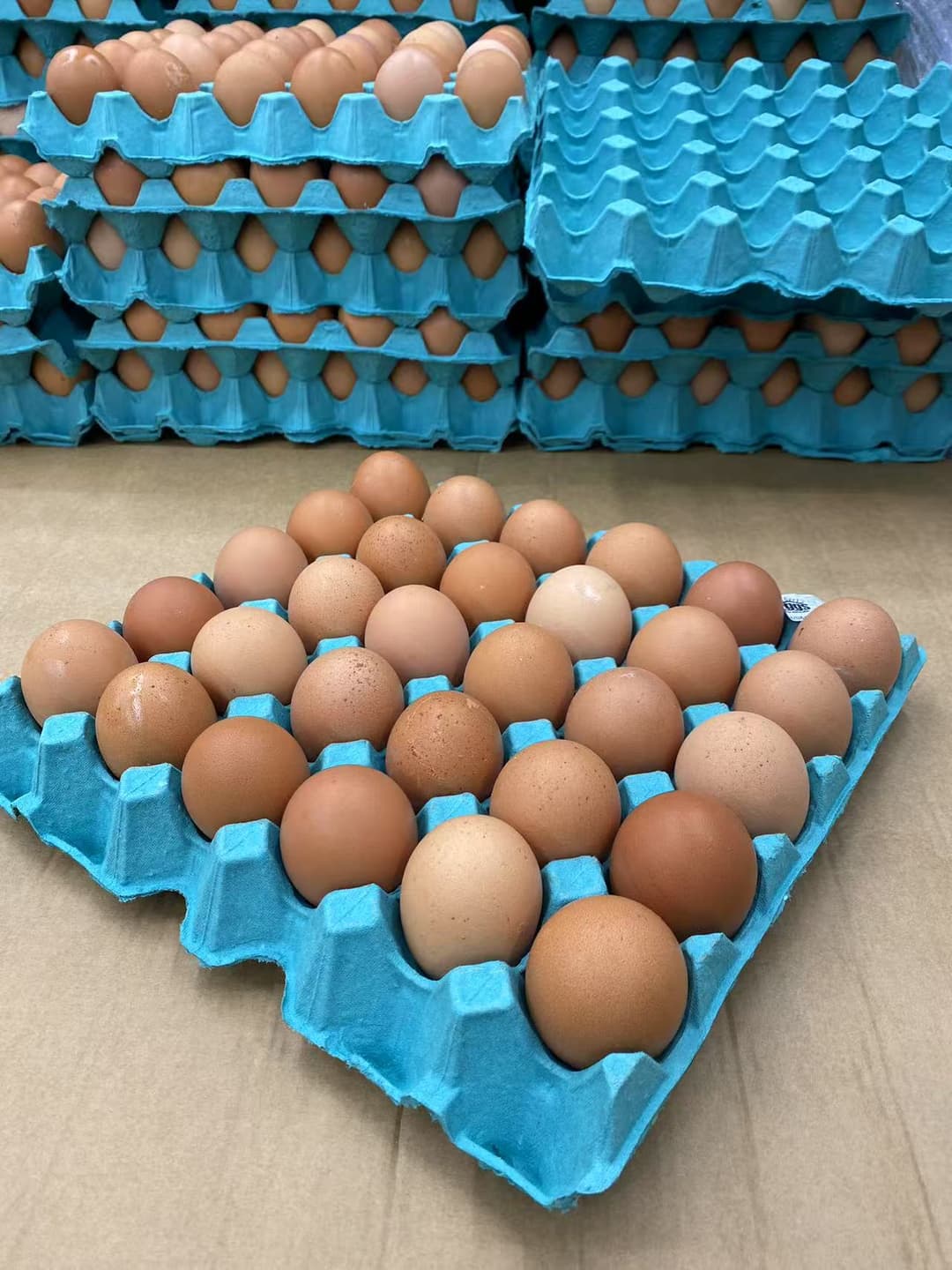 Eggs - Size 7