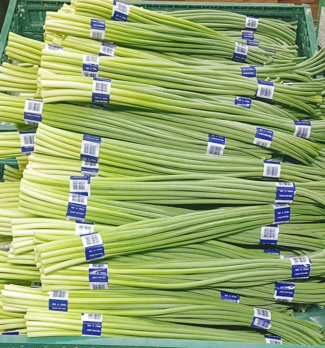 Garlic Sprouts