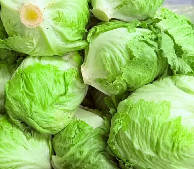 Lettuce