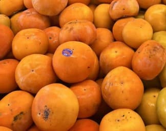 Persimmon