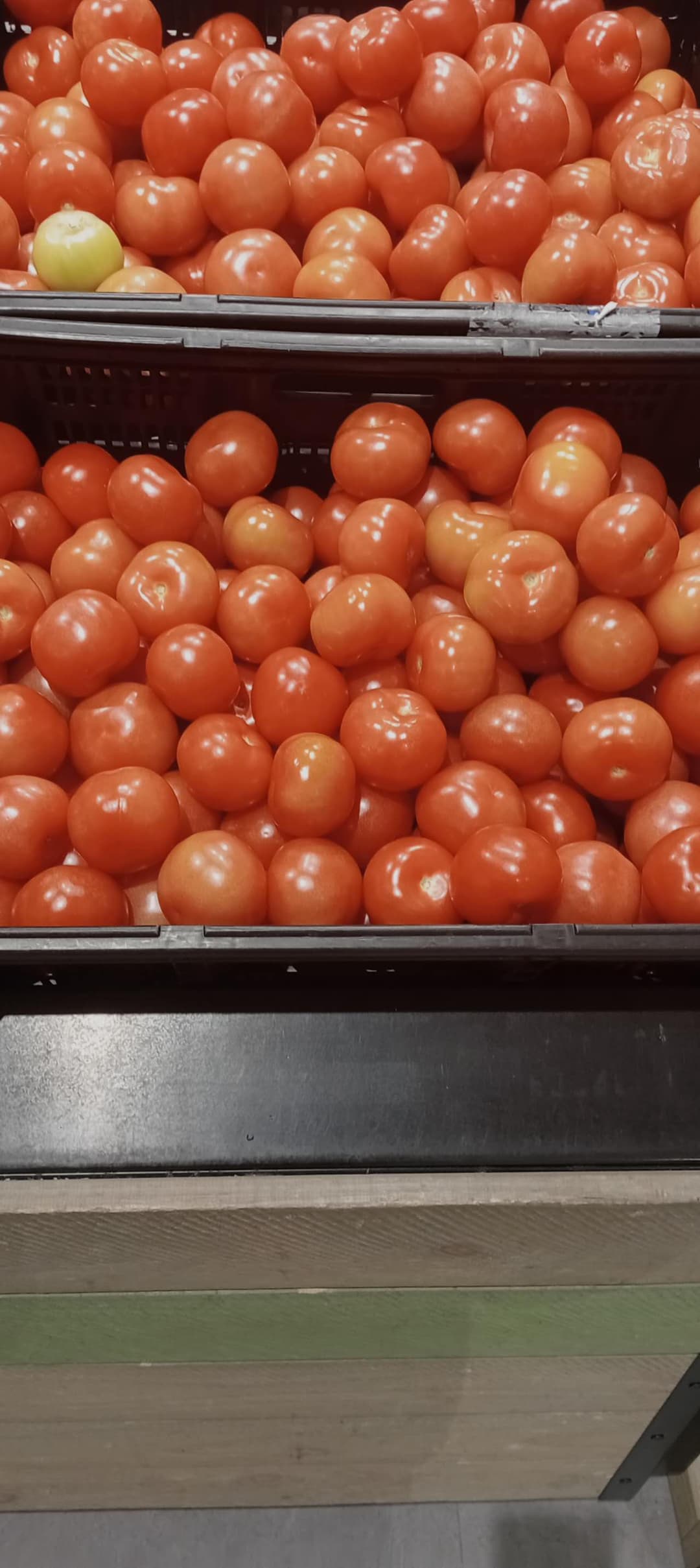 Tomato
