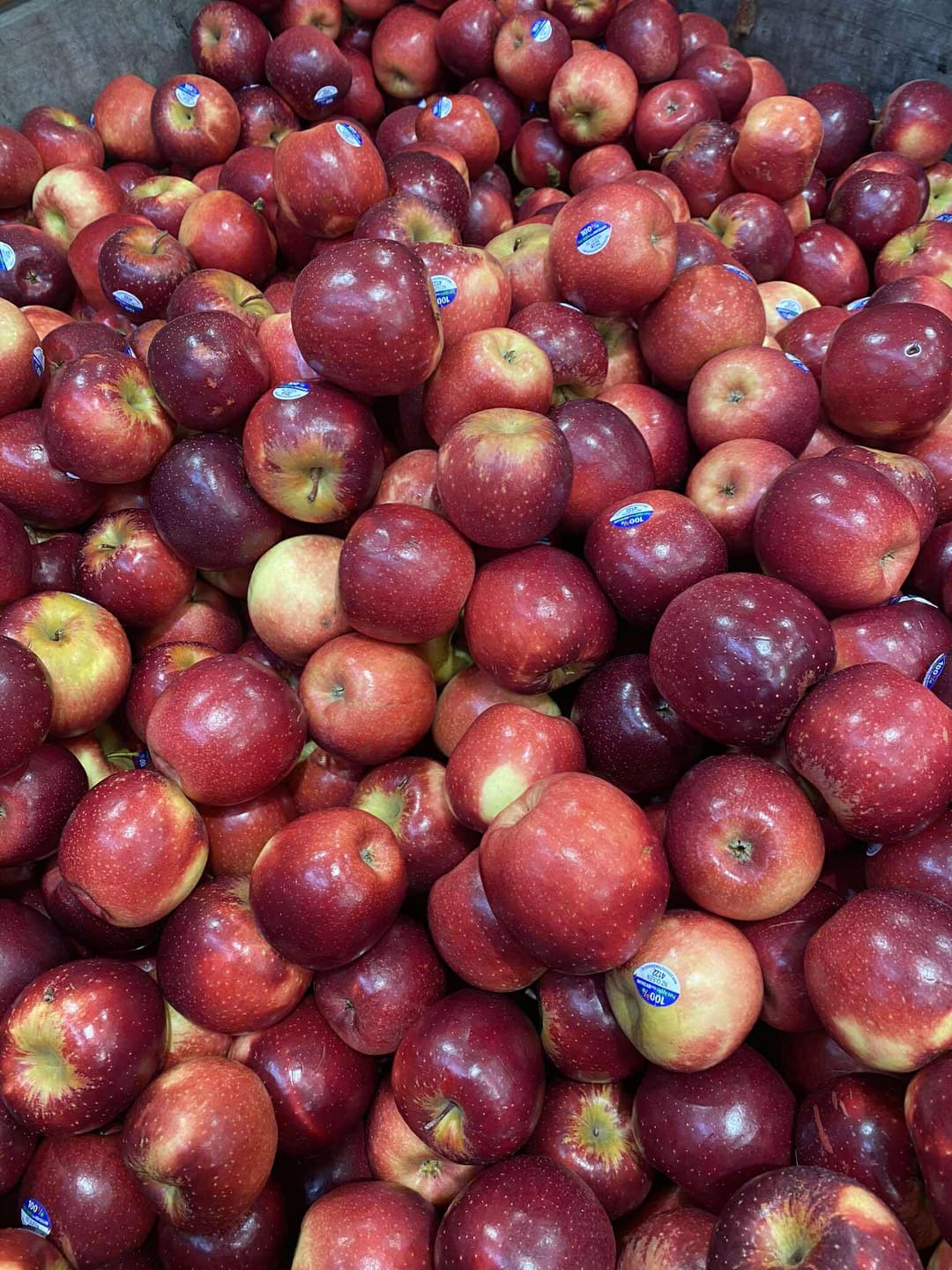 Apple - Queen
